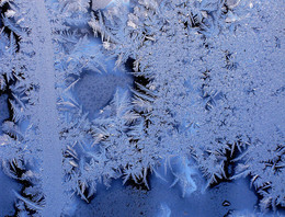 Winter patterns / ***