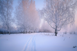 Frosty morning. / ***