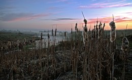 Dawn / ***