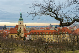 Prague / ***