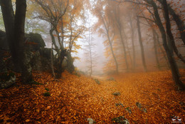 autumn trails / ***