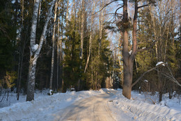 Winter road / ***