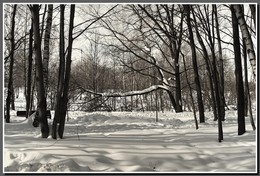 The March study / ***