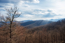 &nbsp; / Blue ridge,
North Carolina, USA