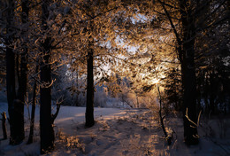 Sunrise over the river / ***