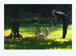 in the sun / ***