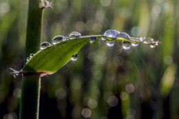 in the sun / ***