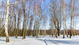 in the sun / ***