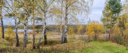 Autumn / ***