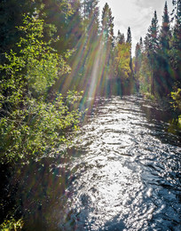 in the sun / ***