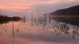 Pink morning. / ***