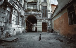 The old Petersburg courtyard. / ***