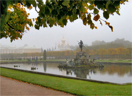 Fog Peterhof / ***