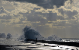 walk to the ocean / ***