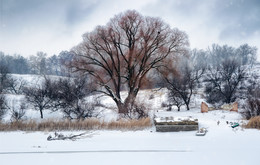 winter pastels / ***