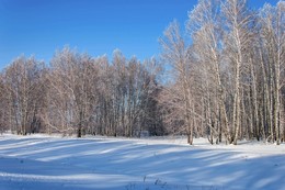 Shadows on the snow / ***