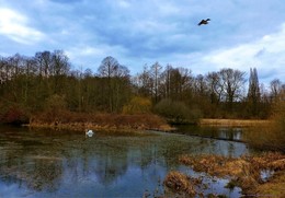 &nbsp; / Außenmühlenteich Hamburg Harburg