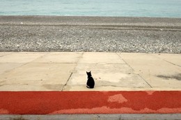  / /\/\/\/\