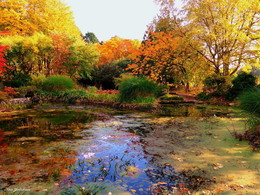 Herbst in Loki Schmidt Garten / ***