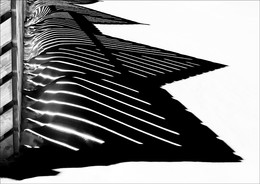 Shadow ... / ***