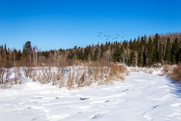 Frozen River / ***