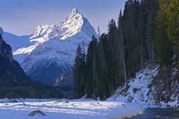 Winter dawn / ***