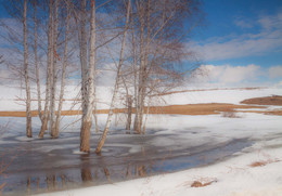 Spring is coming / ***