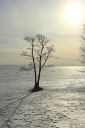 At the coast / ***