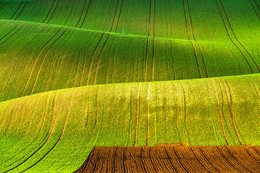 Moravian Fields / ***