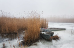 Waiting for Spring / ***