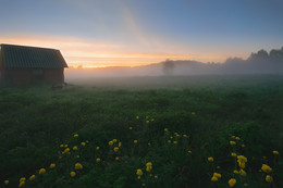 Summer Beach / ---------