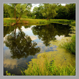 reflections / ***