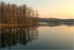 Cold morning / ***