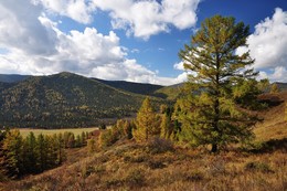 Beginning of autumn / ***