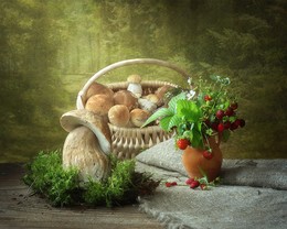 Mushroom time to / ***