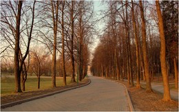 Morning in the park / ***