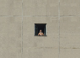 Window / ***