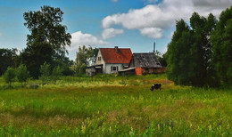 The farm / ***