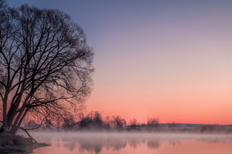 trees on the shore / ***