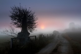 foggy Landscape / Mecklenburg-Vorpommern