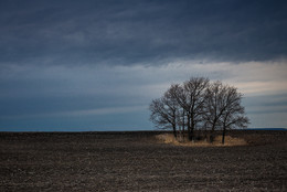 Arable land ... / ***