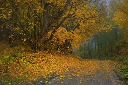 Autumn in the mountains / ***
