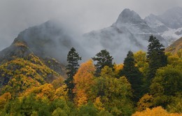 Autumn / ***