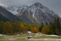 Autumn in the mountains / ***