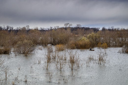 High water / ***