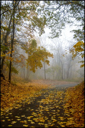 Autumn sketches / ***