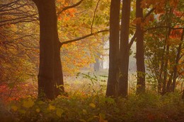 Autumn sunrise / ***