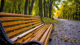 In the autumn park / ***