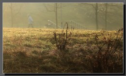 Morning dew / ***