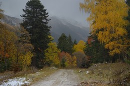 Autumn in the mountains / ***